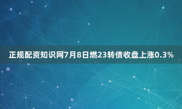 正规配资知识网7月8日燃23转债收盘上涨0.3%