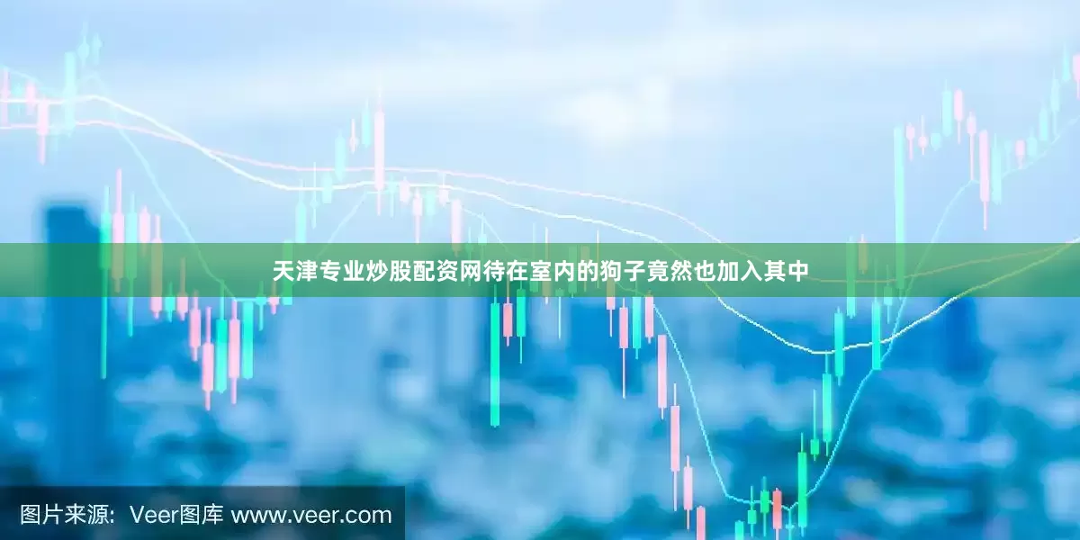 天津专业炒股配资网待在室内的狗子竟然也加入其中
