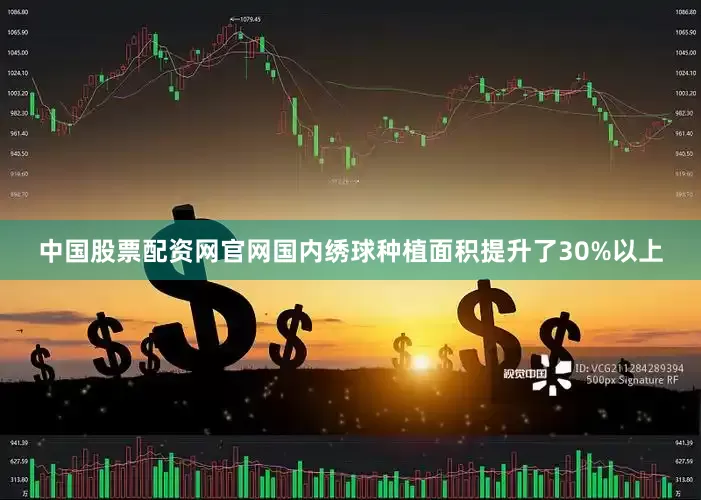中国股票配资网官网国内绣球种植面积提升了30%以上