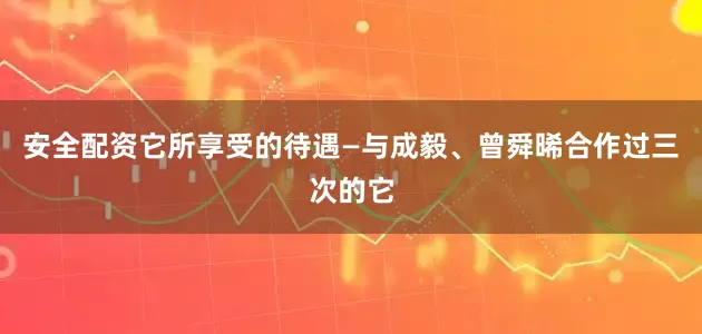 安全配资它所享受的待遇—与成毅、曾舜晞合作过三次的它