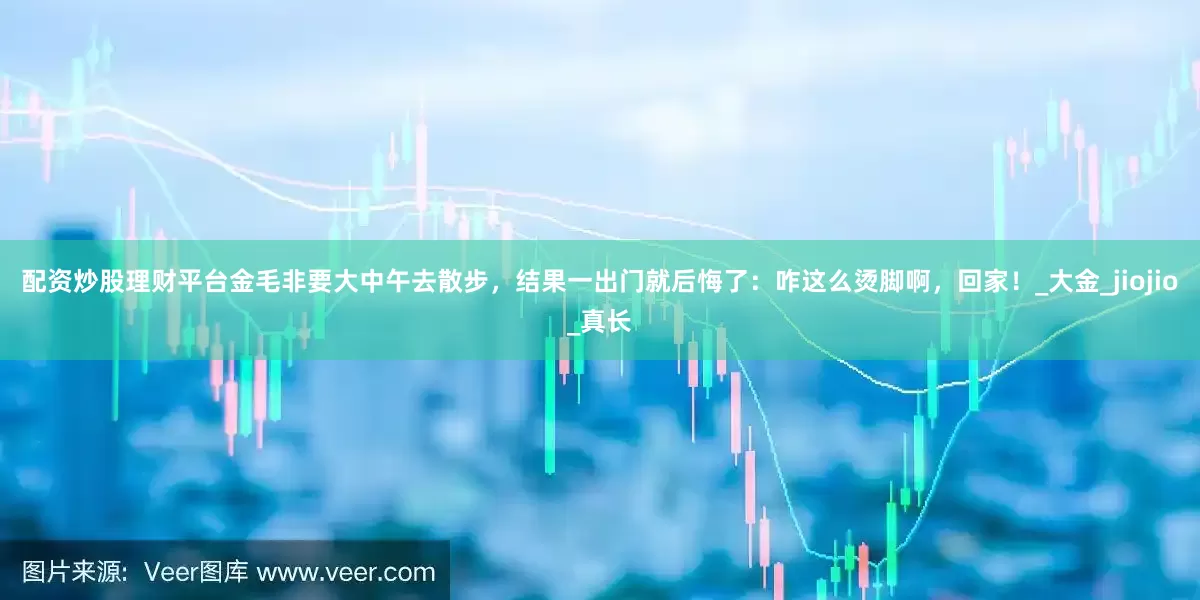 配资炒股理财平台金毛非要大中午去散步，结果一出门就后悔了：咋这么烫脚啊，回家！_大金_jiojio_真长