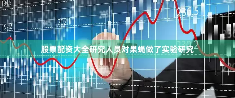股票配资大全研究人员对果蝇做了实验研究